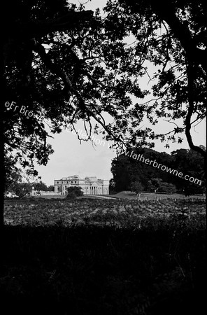 HOUSE FROM CORNER OF OAK WOOD SHOWING NEW PLANTATION